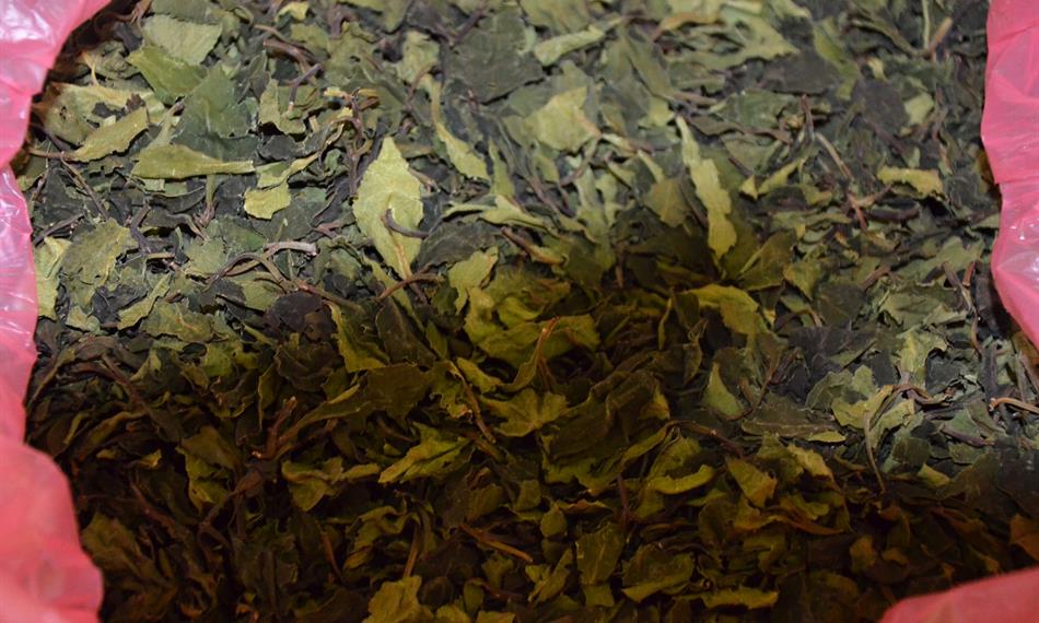 2020-12-28-630hlavní foto.jpg